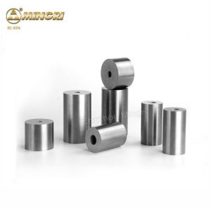 Quality Fastener HIP Sintering Cemented Tungsten Carbide Die Carbide Forming Tools for sale