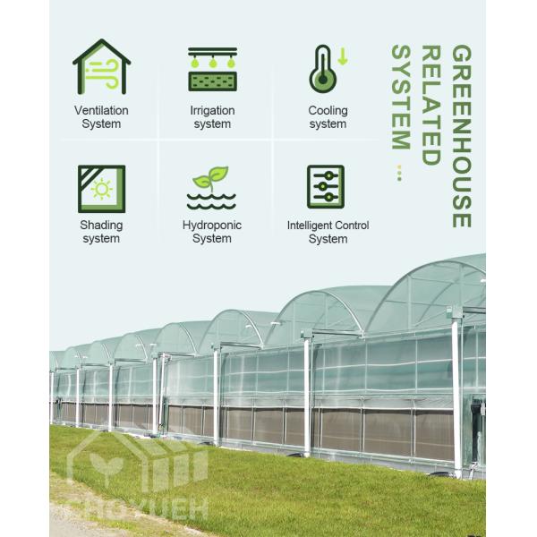 Wind Resistance Multi Span Plastic Film Tunnel Greenhouse With Ventilation System