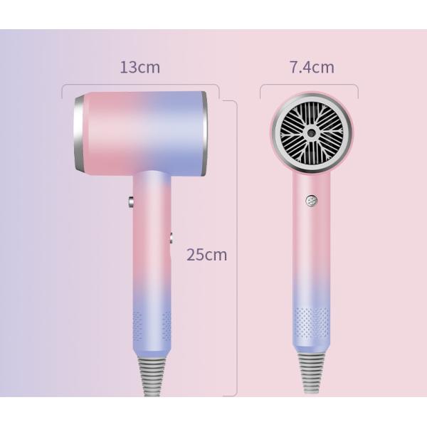 Blue Light Ion Hair Dryer with High Power and 3 Speed Settings Salon Results at Home