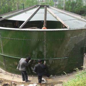 Movable UASB IC Biogas Generation From Sewage Treatment Plant