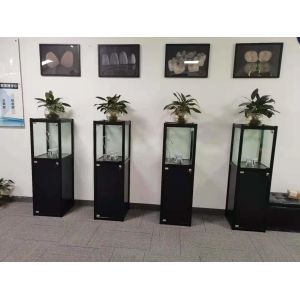 Shenzhen Wecera Dental Technology Co.;Ltd.