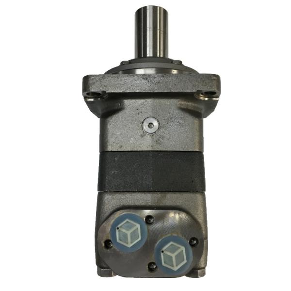 Danfoss Hydraulic Pump OMV630151B3319 Low Maintenance Costs High Torque Output