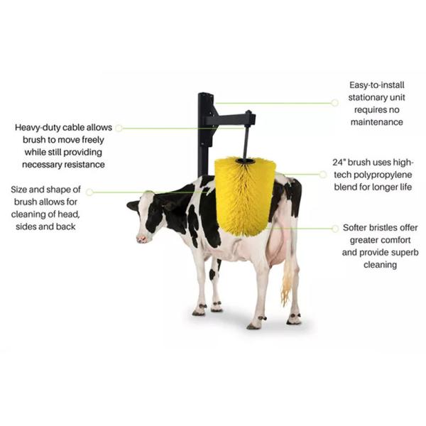 Electric Swinging Cattle Scratching Brush For Back Itching