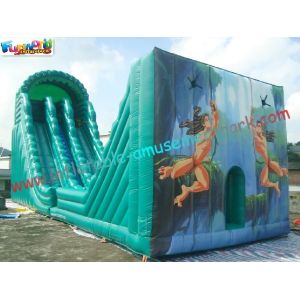 Hot Giant Rent Inflatable Slide / Tarzan Inflatable Zip Line Slide Slip Game For
