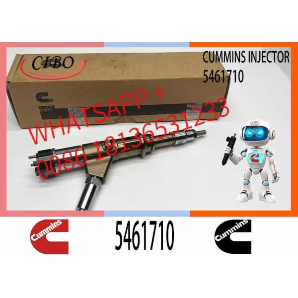 Diesel Fuel Injector Common Rail Fuel Injector 4307475 5461710 5572006 5491515 5491661 5491531 4384786
