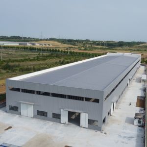Custom Pre-Engineered Steel Structure Building with Parapet Wall
