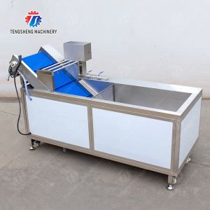 Vegetables bubble washing machine Wash Washer Washing Cleaning processing