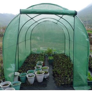 Quality PE tarpaulin garden greenhouse for protection plants in freezer cold weather for sale