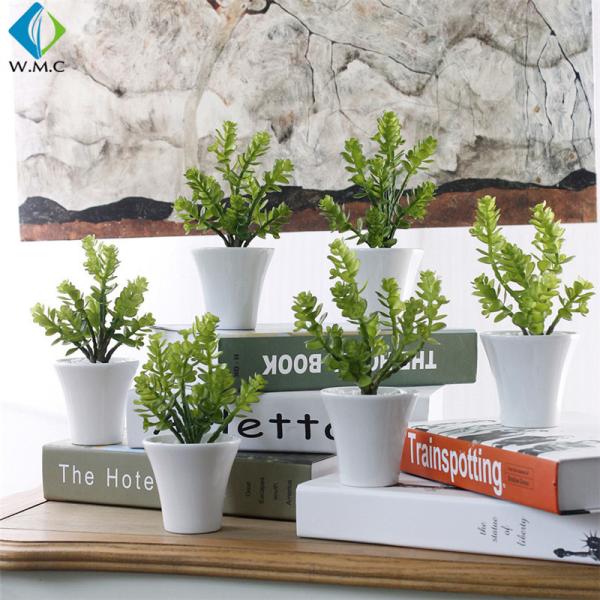 Buy Money Grass Plastic Green Plants 20cm Height Customized Design at wholesale prices