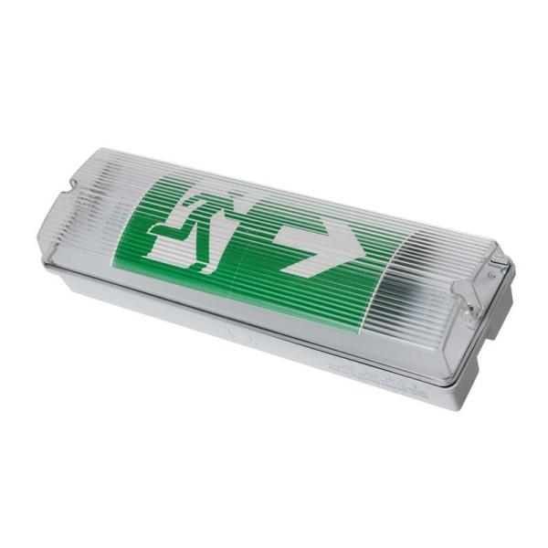 Buy Waterproof Emergency Light IP65 with 15 SMD LEDs 3H Duration at wholesale prices