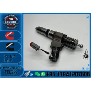 Reliable Fuel Injector Assembly 4307795 For Cummins Engine N14 Series Matching