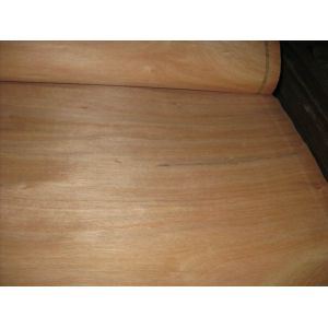 Rotary Cut Red Canarium Wood Veneer Sheet, Face/Back Grade