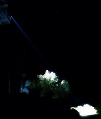 Waterproof, 3200lm,12 / 24V DC HID Offroad Light, Dimensions (L) 230 x (W) 220 x