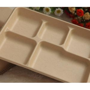 5 compartments Biodegradable Straw pulp food containers paper food trays