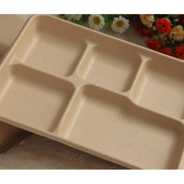 5 compartments Biodegradable Straw pulp food containers paper food trays