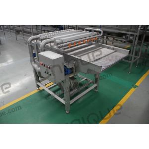 s Leading Palm Dates Seed Removing Machine with Stainless Steel 304