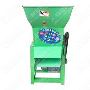 Long Service Life Industrial Fruit Washing Foshan