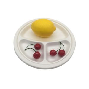 Quality 9" Biodegradable Sugarcane Bagasse Plates for sale