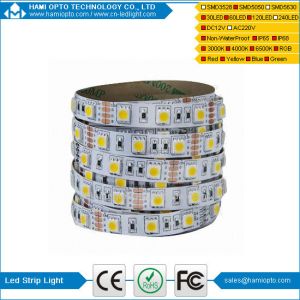 CE/RoHS 12V 7.2w/m White /RGB 5050SMD LED Strips and LED Striplights