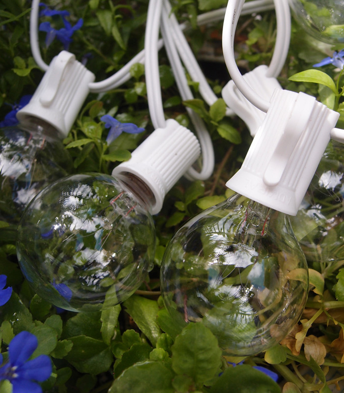 Quality 25 Socket Globe String Lights (Bulbs Included) for sale