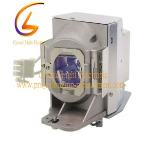 ViewSonic PJD7820HD PJD7822HDL VS14937 ACER E141D Projector Lamp RLC-079