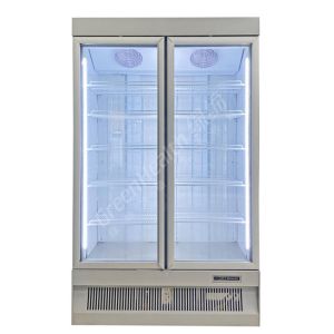 Icecream / Meat Display Commercial Upright Glass Freezer Plug In