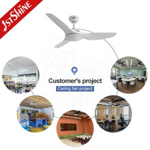 Modern Design LED Ceiling Fan Smart Remote Control and Fancy Design with White