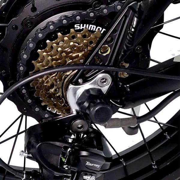 Battery Powered 20 Inch Fat Tire Electric Bike