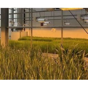 Double Layer Water Sprayer Controlled Illuminating Greenhouse for Planting