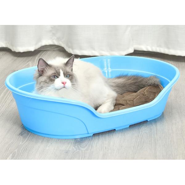 plastic cat bed