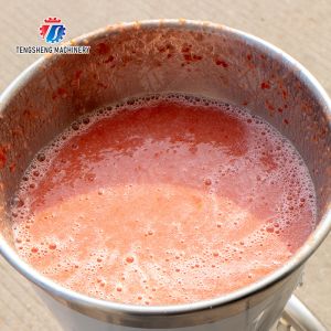 juicer fruit juice orange juice Tomato juice apple juice celery juice Celery