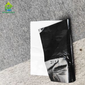 130 Micro Black And White Panda Film