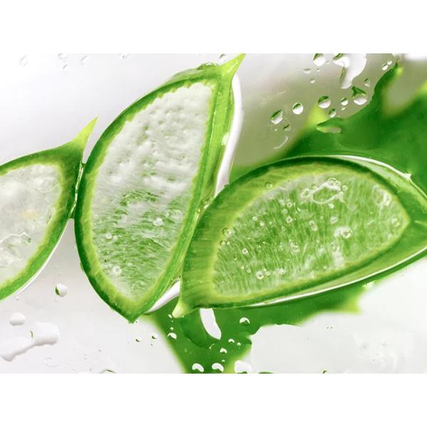 Dentifresh Teeth Whitening Toothpastes For Professional Oral Care Non Toxic