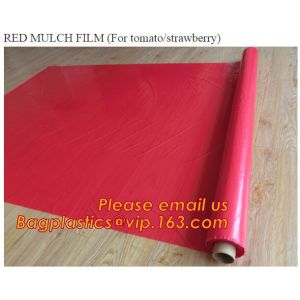 Agricultural Mulching Film Used for Fruit, Flower and Vegetable