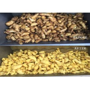 Brush Taro Radish Carrot Sweet Potato Peeling And Washing Peeler Machine