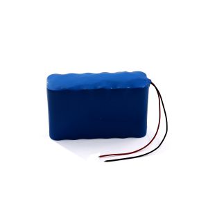 21.6V 5.2Ah Lithium Ion 6S2P 18650 Battery Pack Rechargeable Lithium Ion Battery