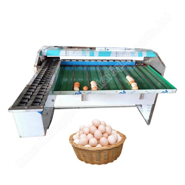 Chicken Farm Classifier Chicken Farm Grading Machine Chicken Egg Sorting Machine