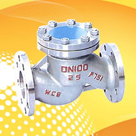 Quality Check Valve for sale