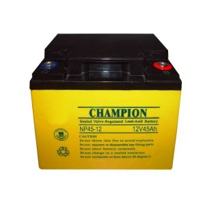 Quality China Champion Deep Cycle Battery 12V45AH NP45-12-G Sealed Lead Acid Solar GEL Battery for sale