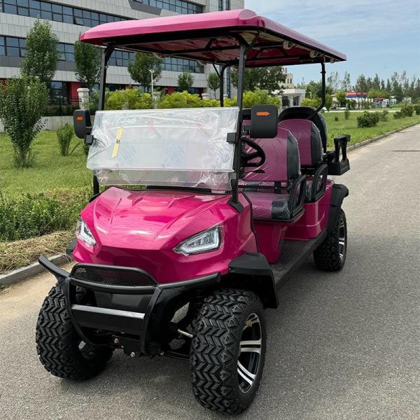 Six-seater Off-road Pink Luxury Electric Golf Cart With Customizable Color And