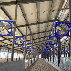32000m3/h Airflow Capacity Dairy Cow Barn Ventilators for Optimal Air Circulatio