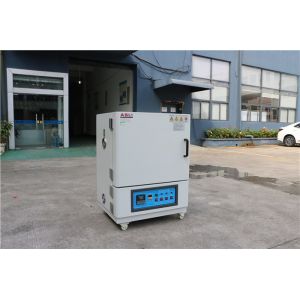Digital High Temperature Ovens Vacuum Degassing Chamber Oven CE Certificate