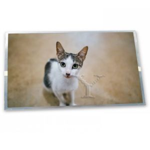 G200HJJ-L01 G200HJJ-EN1 G200HJJ-EN2 19 Inch 1920*1080 WlED Tft Industry Lcd Screen Panel