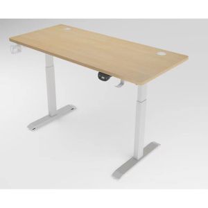 Ergonomic Electric Gaming Desk with Panel Wood Style and Extendable Height