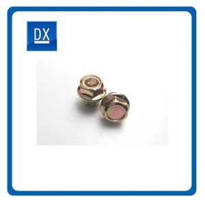 Gasket Seal Brass Oil Plug Cold Forging Processing