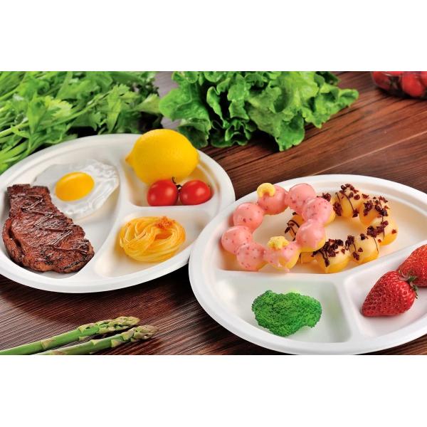 Buy Disposable Tableware Biodegradable Sugarcane Bagasse Plates Refrigerator Wedding at wholesale prices