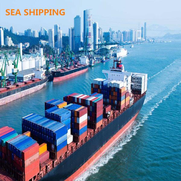 Buy Ningbo China DDP Sea Shipping To Los Angeles USA at wholesale prices