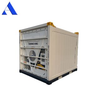 10ft Offshore Refrigerated Container CSC/BV Certificates Made of Steel and