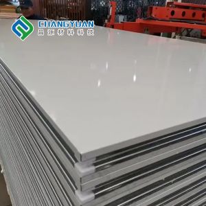 Waterproof Customizable Cleanroom Wall Panel Cladding Polyurethane