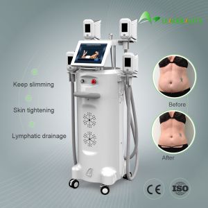 2018 Newest Cryolipo Beauty Salon Equipment / Fat Freezing Beauty Salon